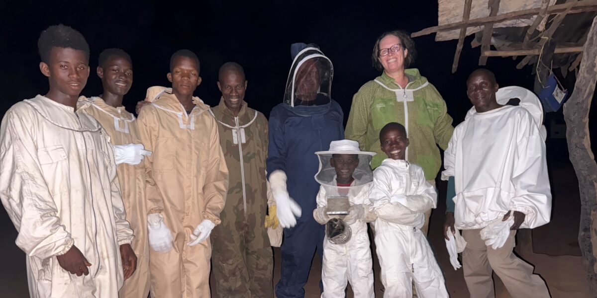 Bijenproject Jedidja - Guinee-Bissau